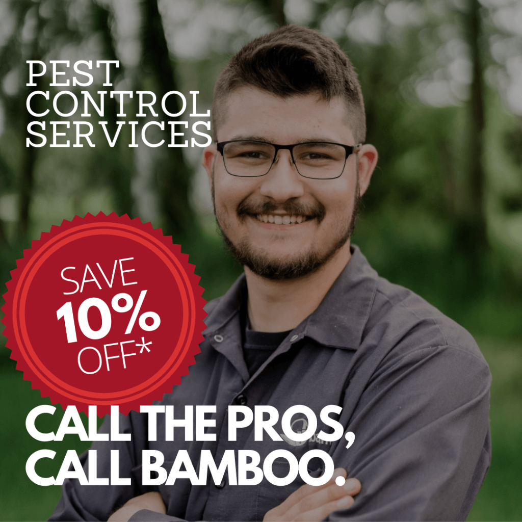 Tacoma - Bamboo Pest Control